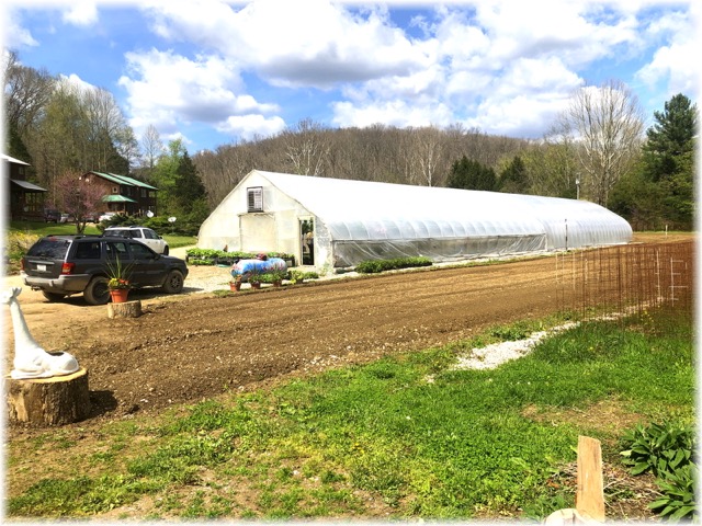 greenhouse-1600