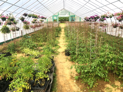 interior_center_mid-May